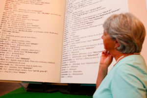 Fête romande et internationale des patoisants, Bulle 2013 © Nicolas Repond